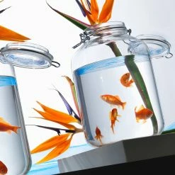 Bormioli Rocco 4.67L Swing Top Fido Glass Jar -Le Creuset shop 149270mrf121990 3