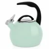 Chantal 2 Qt. Enamel-on-Steel Anniversary Collection Tea Kettle | Sage Green -Le Creuset shop 37 annsa2 grande