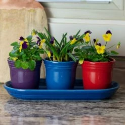 Fiesta® Windowsill Garden Set | Bold -Le Creuset shop boldlife