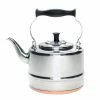 BonJour 2 Qt. Gooseneck Tea Kettle | Stainless Steel With Copper Base -Le Creuset shop copperkettle1