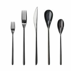 Fortessa Dragonfly 20pc Place Setting | Black